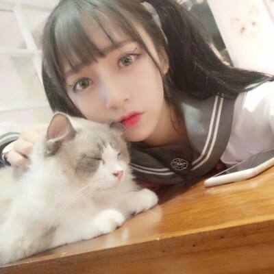 歌之王子殿下离线下载
